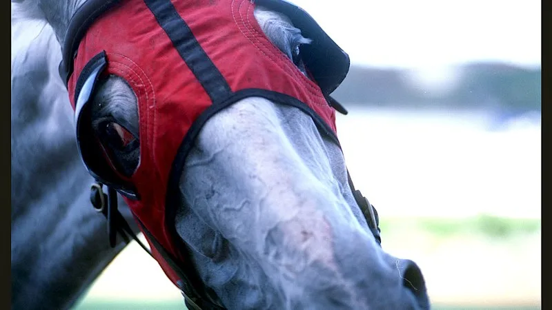 Tips and previews for racing at Canterbury on Wednesday