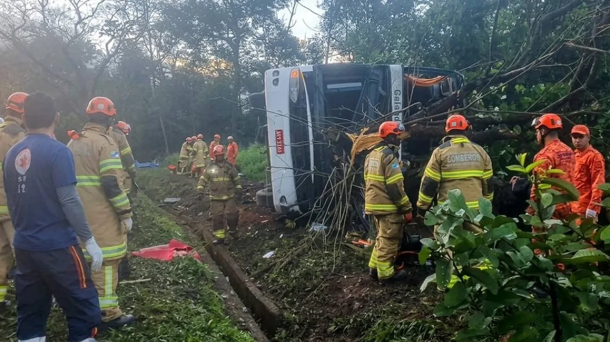 Tragedia en Brasil: volcó un micro con turistas y murieron diez personas