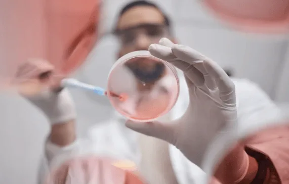 In The Spotlight | What are broadly neutralising antibodies and what do they mean for the fight against HIV?