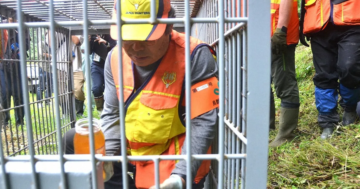 宮城でクマ個体数削減へ 捕獲作業本格化 2月までに390頭目標