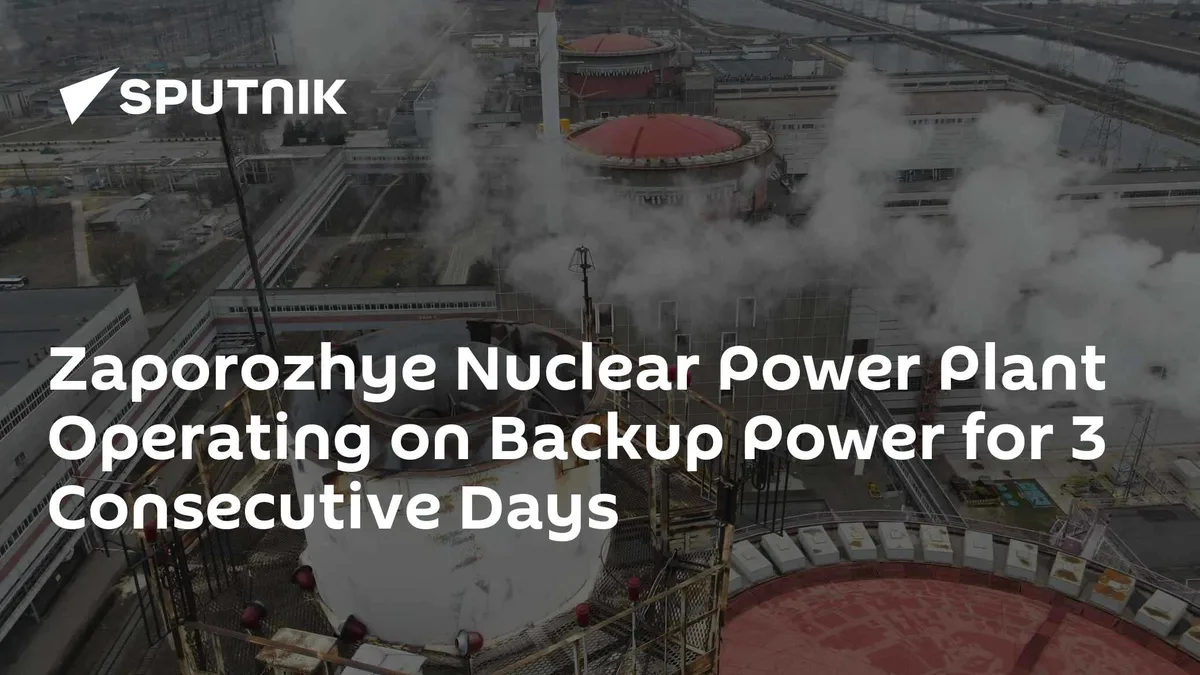 Zaporozhye Nuclear Power Plant Operating on Backup Power for 3 Consecutive Days