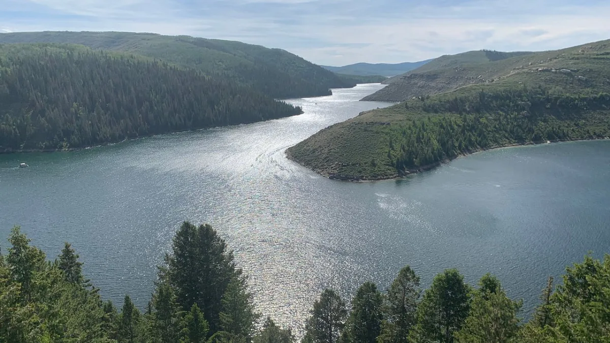 In 1990, Utah used the world’s largest rotenone treatment on Strawberry Reservoir
