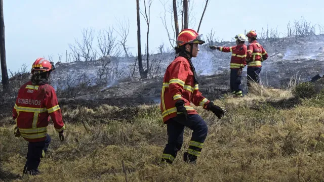 Fogos na Europa: UE envia meios para Bélgica e Espanha