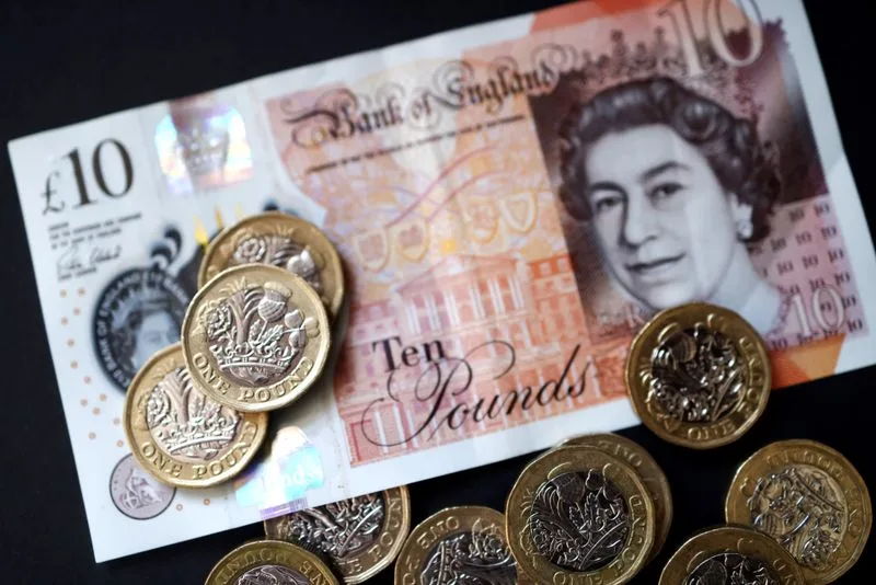 Barn owls, bees, puffins and hedgehogs to feature on UK banknotes