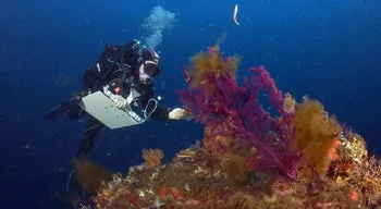 Portugal vai contribuir com 75 milhões de euros para projeto europeu sobre oceanos afirmou Montenegro