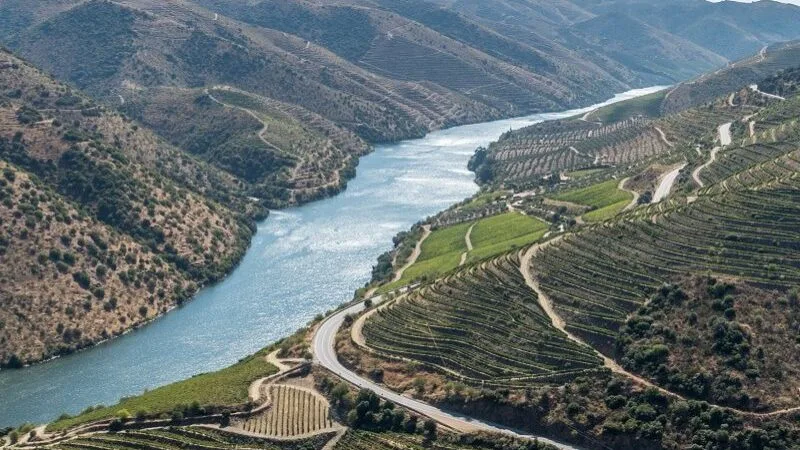 Apresentadas 425 candidaturas ao apoio excecional para o Douro