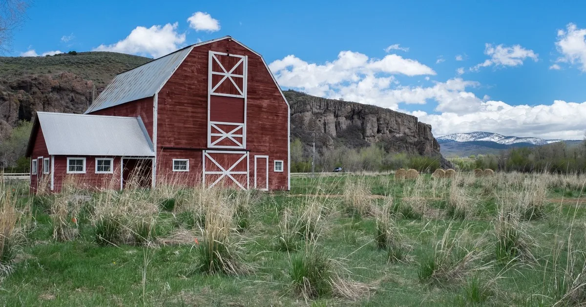 Una granja de Idaho comprada en 1916 por unos 87,50 dólares el acre ha permanecido en la misma familia por más de un siglo; 110 años después, la propiedad de 361 acres ha sido distinguida como Granja Centenaria