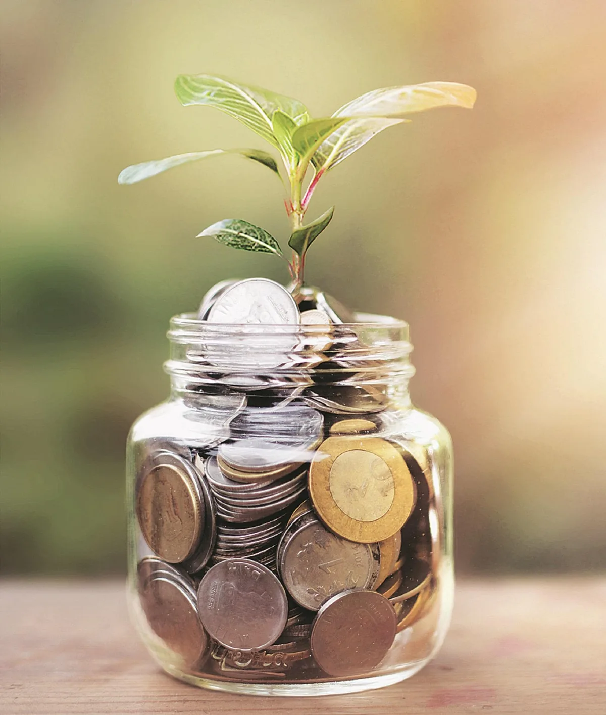Amfi announces initiatives to deepen mutual fund penetration