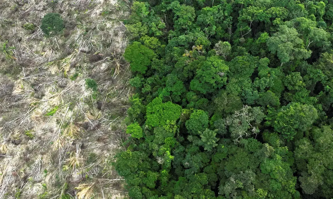 Acre aparece entre estados com áreas protegidas mais pressionadas pelo desmatamento na Amazônia