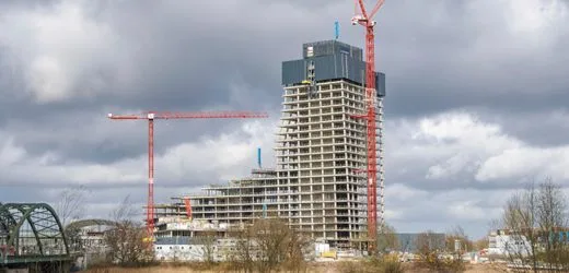 Hamburg: Senat prüft neuen Standort für Naturkundemuseum