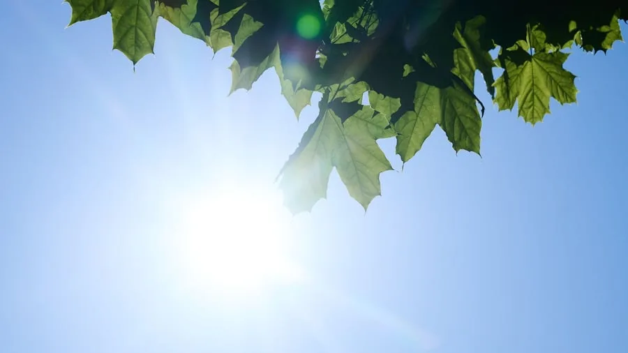 In ganz Europa: Daten bestätigen flächendeckenden Anstieg der UV-Strahlung