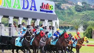 La Rinconada: Favoritos de la cátedra para el 5y6 Nacional de la reunión N°34