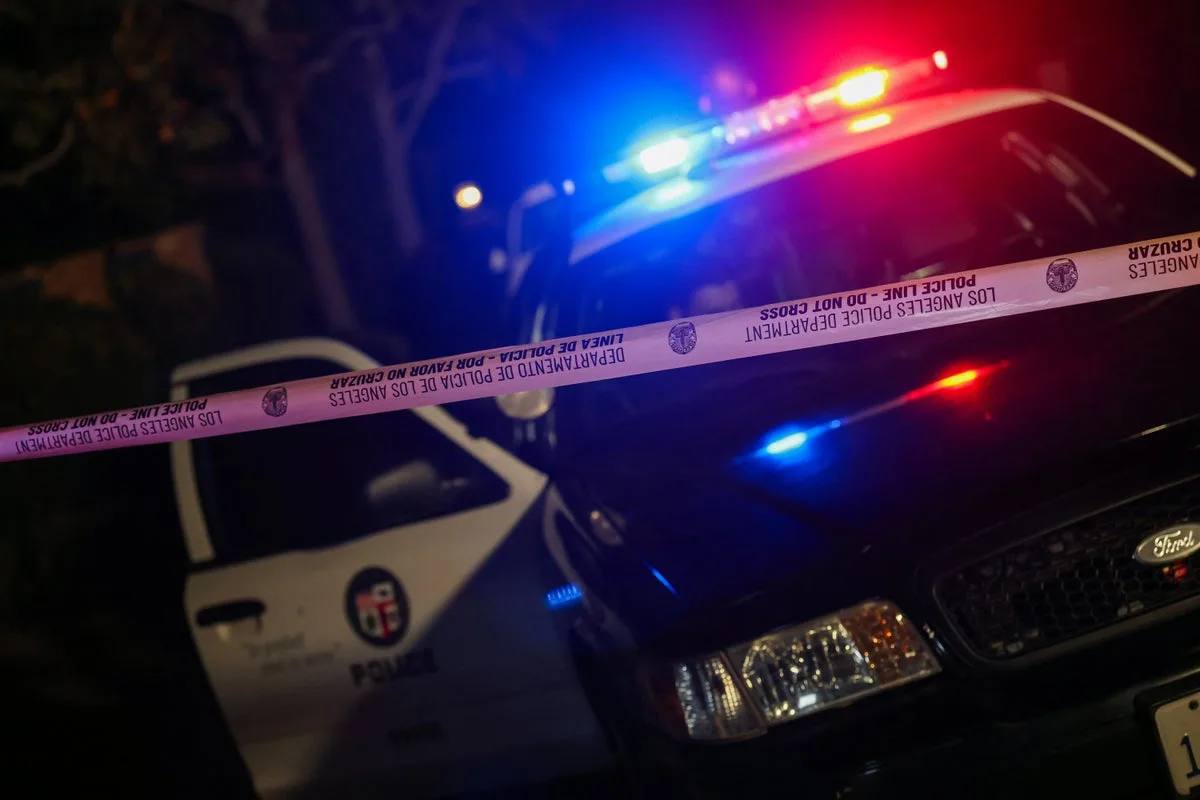 Two little brothers, 4 and 11, allegedly killed by dad after McDonald’s trip