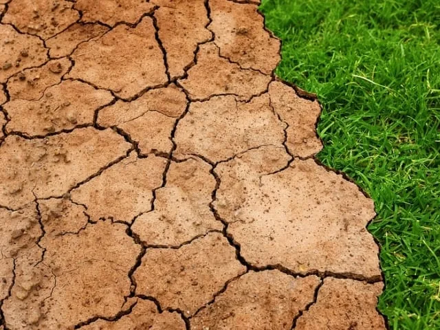 El Niño deve ser o mais forte desde 1950 e durar até o outono de 2027