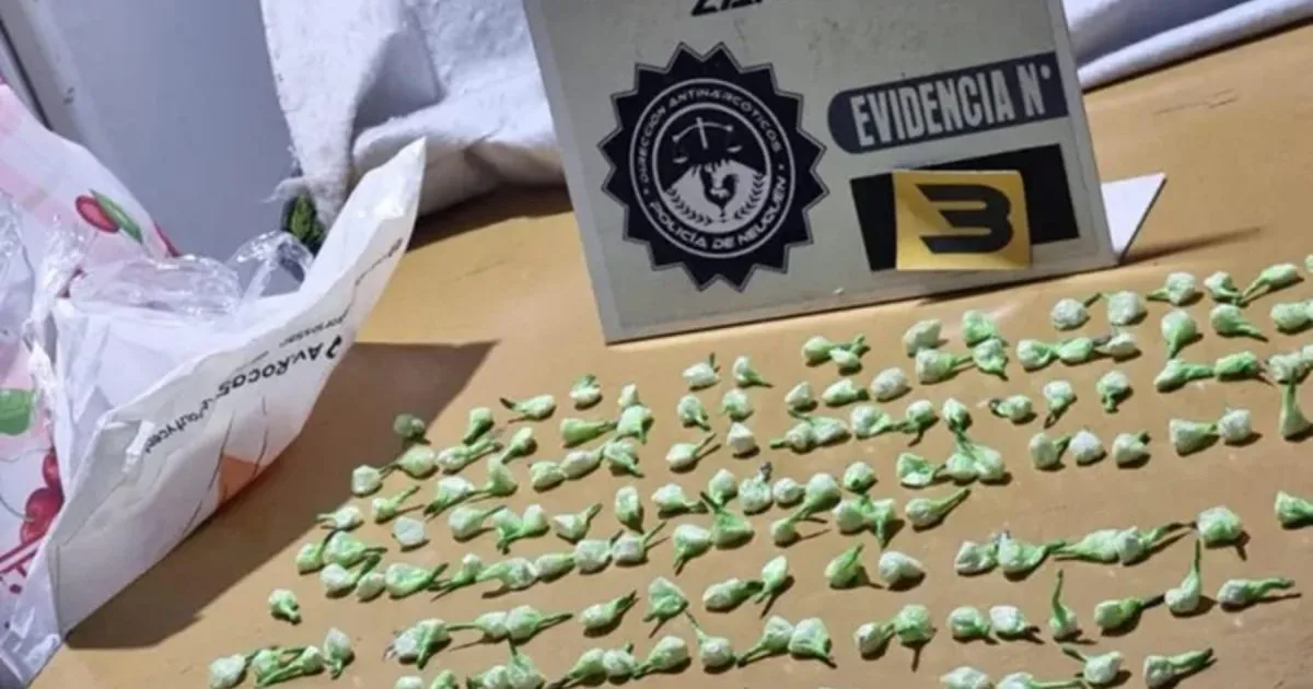 Desbaratan una red que vendía cocaína en Cutral Co: secuestraron $10 millones en droga y hay seis detenidos