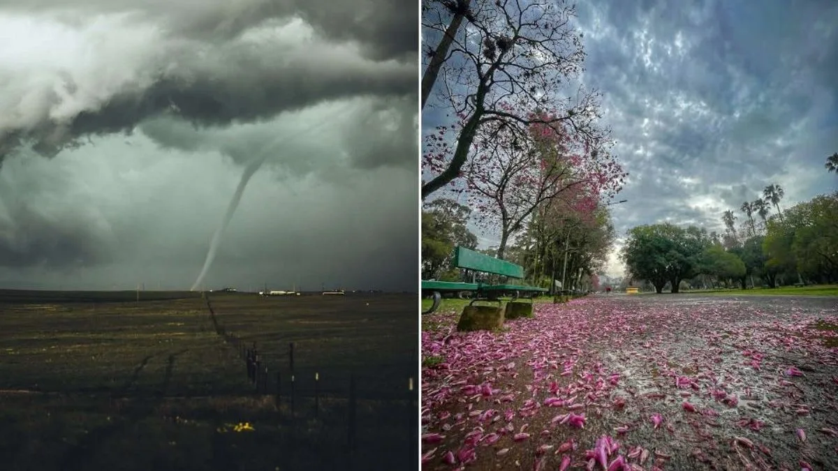 Inverno dá adeus com ciclone extratropical e primavera começa com frente fria intensa; veja como fica o tempo no início da estação