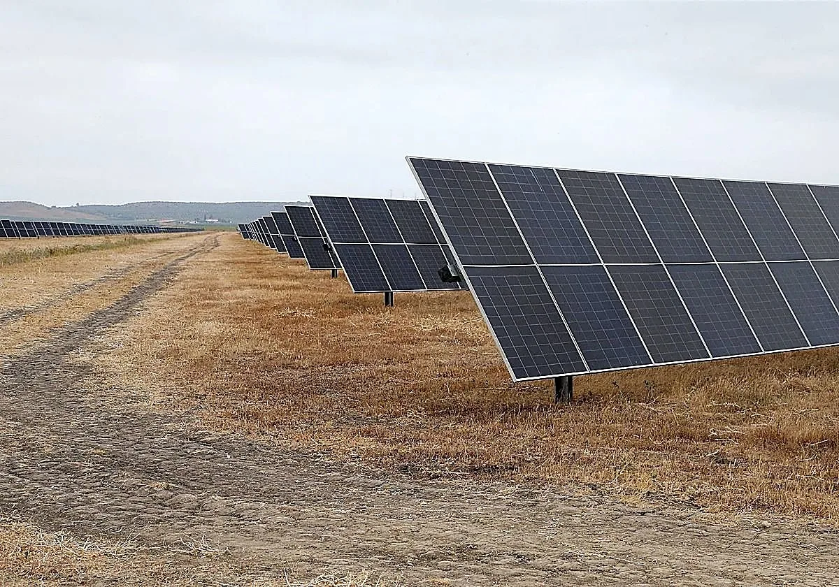 Castilla-La Mancha lanza ayudas por 10,6 millones para comunidades energéticas y almacenamiento