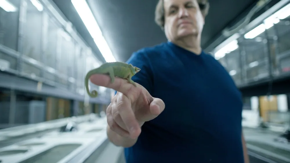 How ‘Monsters Of God’ Director Eric Goode’s Personal Avocation Led Him To The World’s Most Notorious Reptile Traffickers For HBO Docuseries