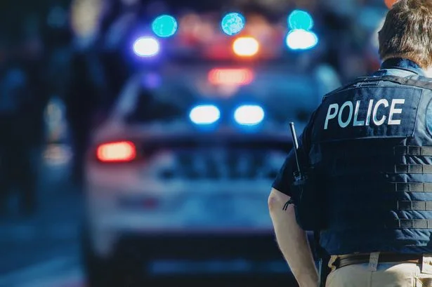 Girl, 5, dies after being 'left in hot car when family forgot about her'