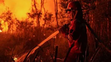 Indonesian police arrest 72 people suspected of starting forest fires