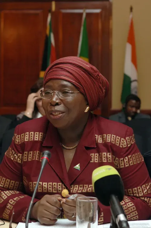 Dlamini-Zuma’s affidavit tackles Mbalula over vote-buying claims