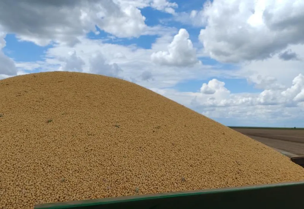 Colheita de milho passa de 1,6 milhão de hectares em MS e chega a 75%