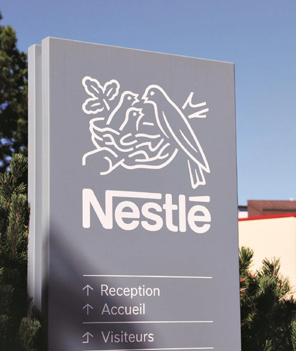 Nestle wants India to consult firms on front-of-pack food labelling rules