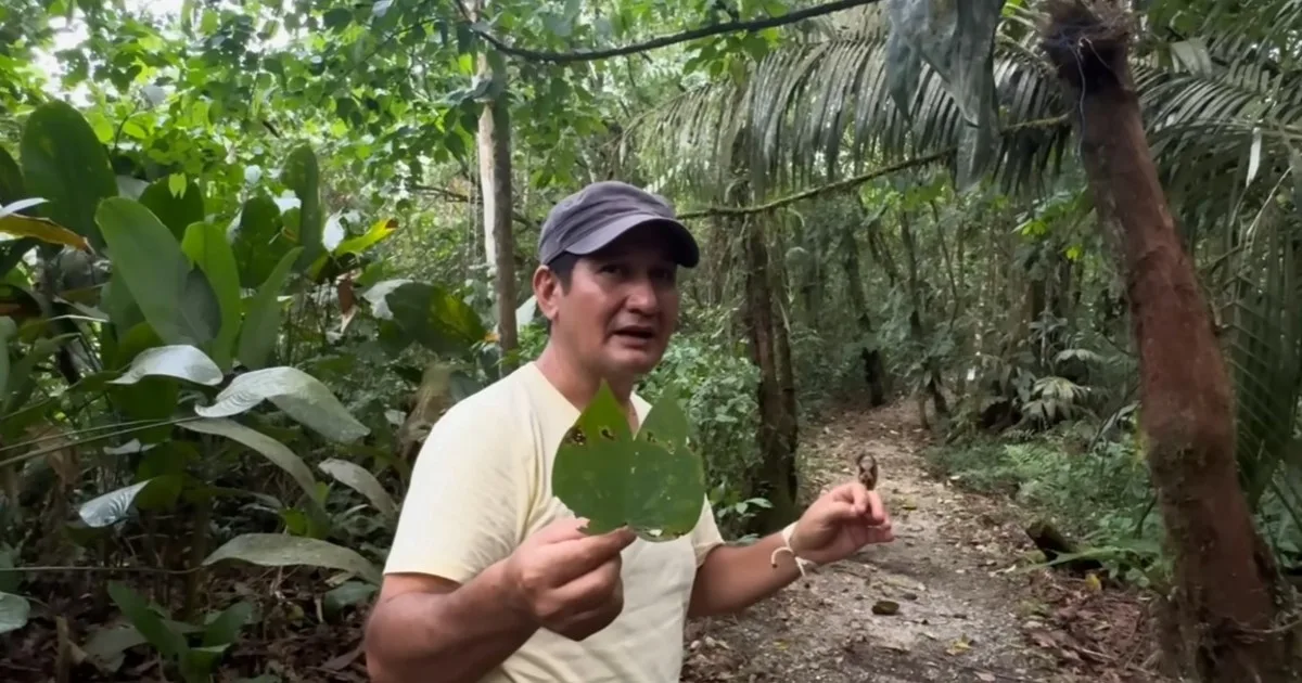 Jorge y María viven en plena Amazonía junto a monos, guacamayos y loros que siguen visitando su bosque: "Ya están perdiendo su hábitat y el bosquecito que yo protejo es su salvación"