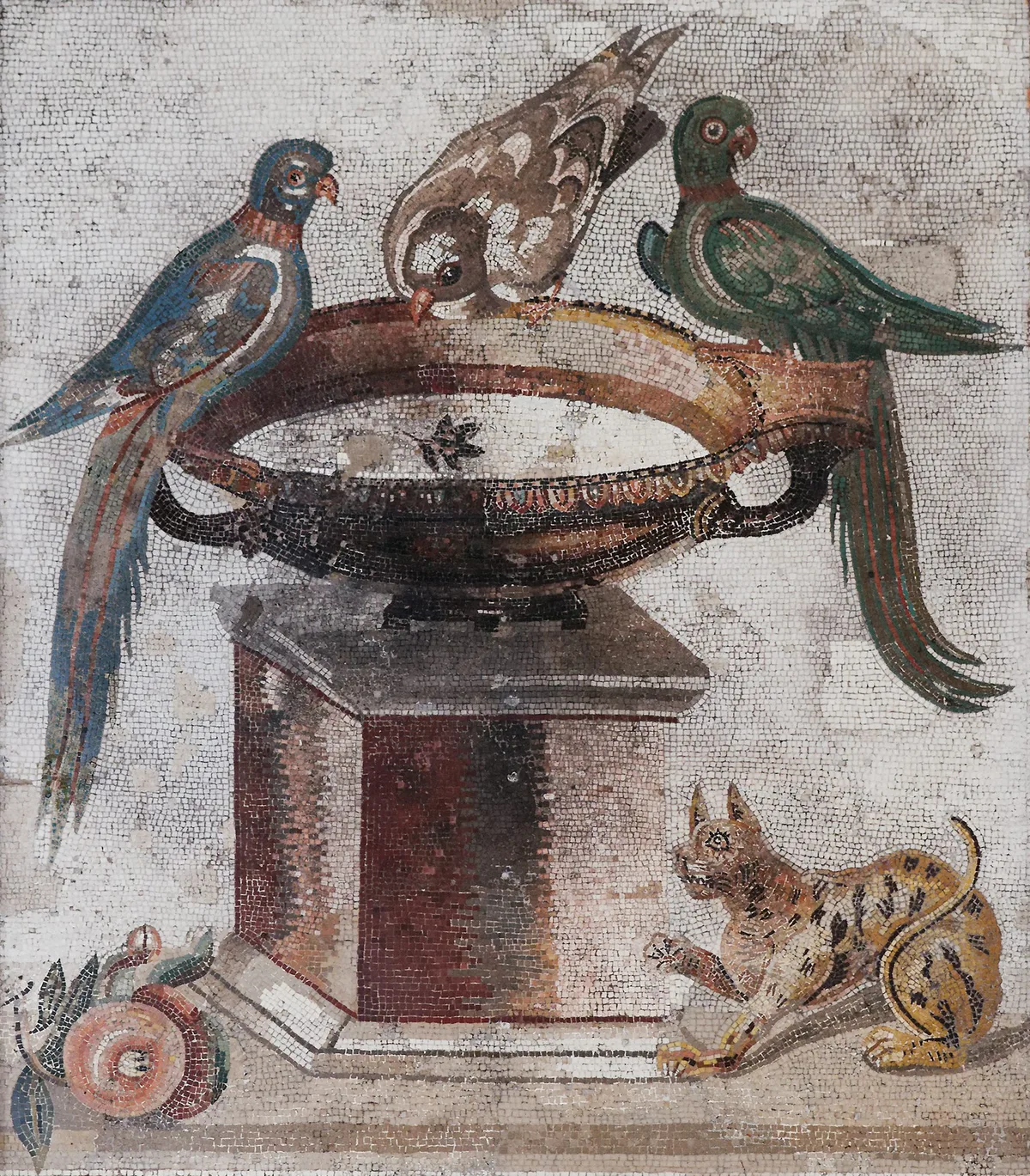 ‘Frequently fumigate the hen-houses’: how ancient Greeks and Romans tried to treat sick birds
