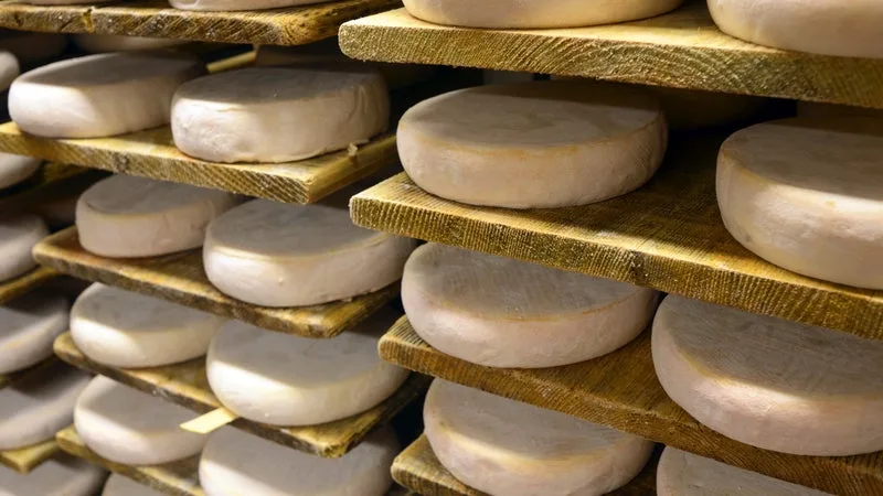 Le manque de pluie a asséché les pâturages: après le comté et le beaufort, les fromages AOP reblochon, cantal et fourme d'Ambert obtiennent à leur tour des conditions de production assouplies