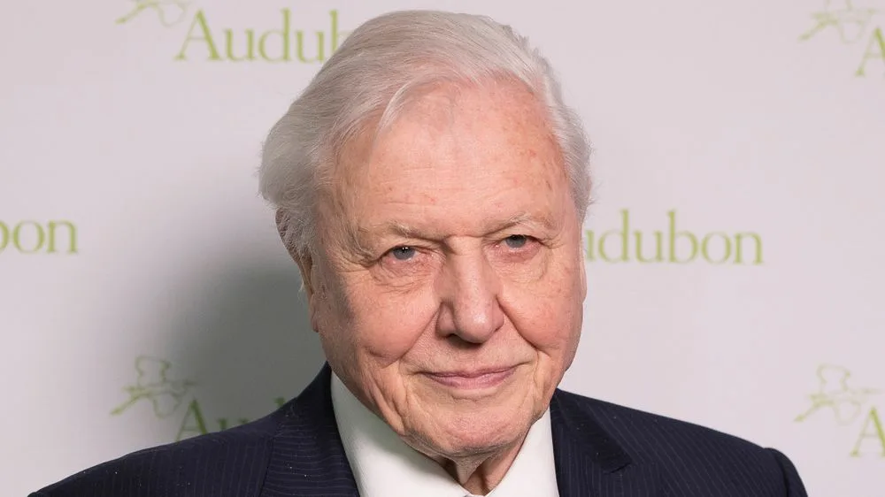 Stream the entire BBC iPlayer Attenborough collection anywhere with this top-rated VPN deal