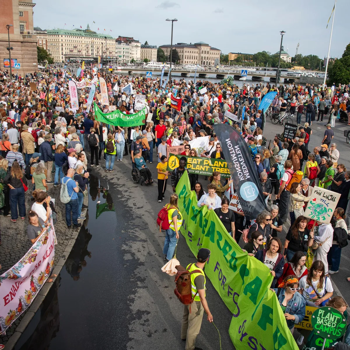 Stockholm - Tausende Schweden demonstrieren vor Parlamentswahl für mehr Klimaschutz