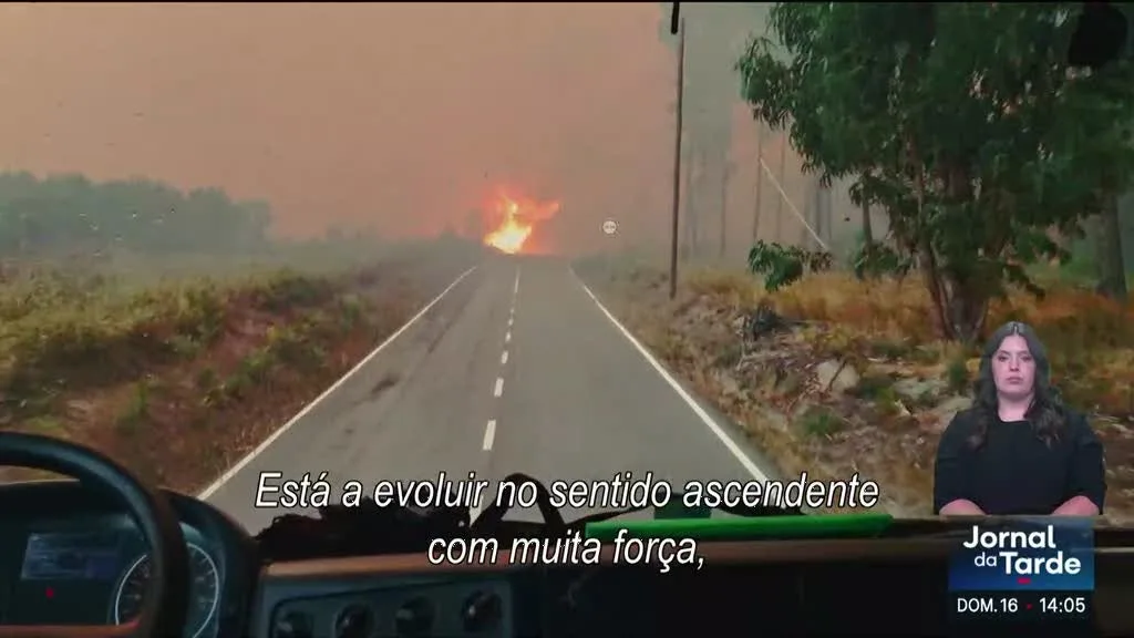 "Lições do fogo". Documentário mostra Portugal e Finlândia juntos no combate às chamas