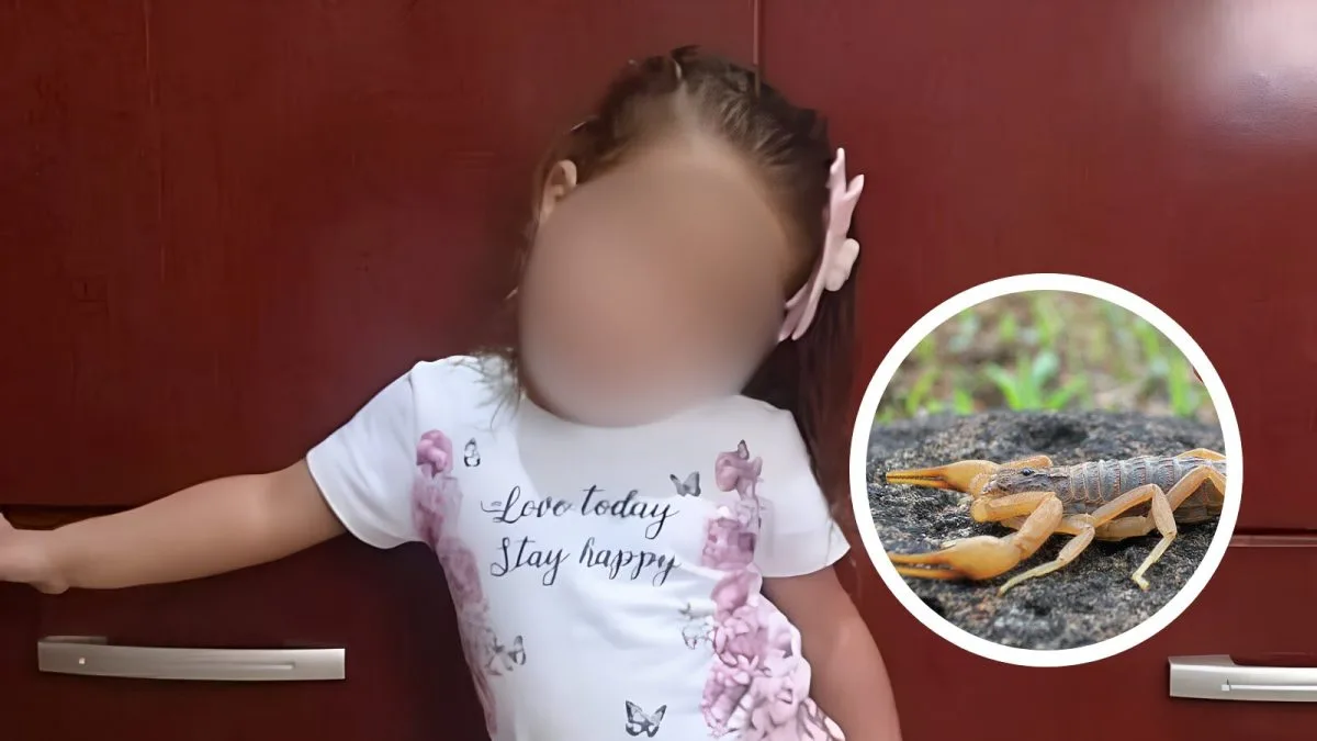 Menina morta após picada de escorpião é chamada para perícia três anos depois em SP