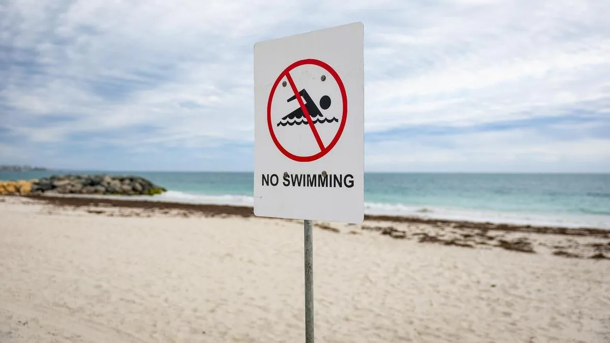 Search for swimmer continues after fatal shark attack