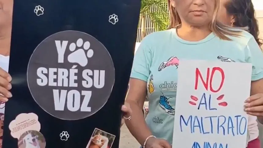 Denuncian «envenenamiento» masivo de mascotas en la isla de Margarita, la comunidad exige justicia