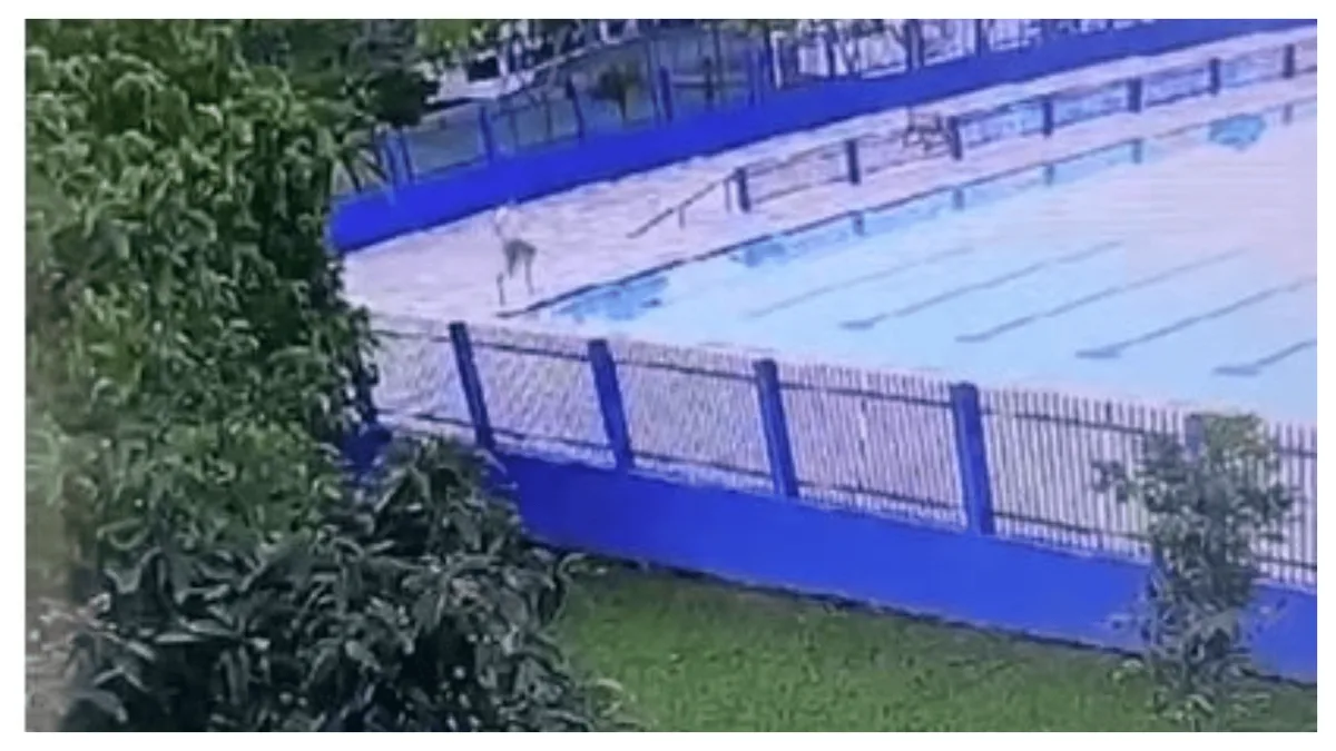 Vídeo mostra DJ Dani Brasil sendo preso pela PM após mergulhar na piscina de clube para tentar fugir