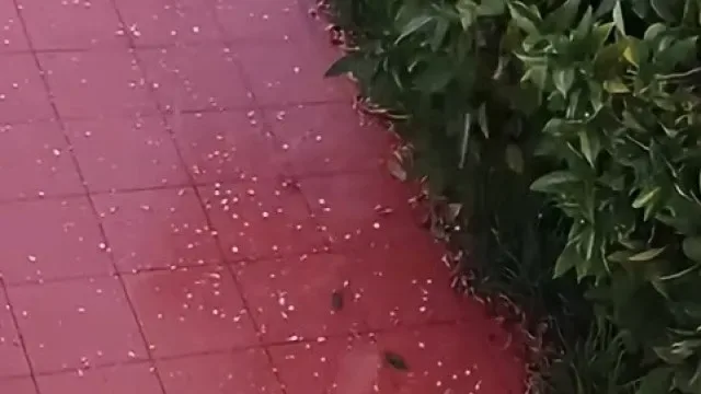 País sob aviso amarelo... e Évora sob trovoada de granizo. Eis as imagens
