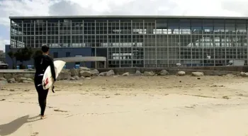 Criada associação para garantir "proteção patrimonial" do Edifício Transparente no Porto