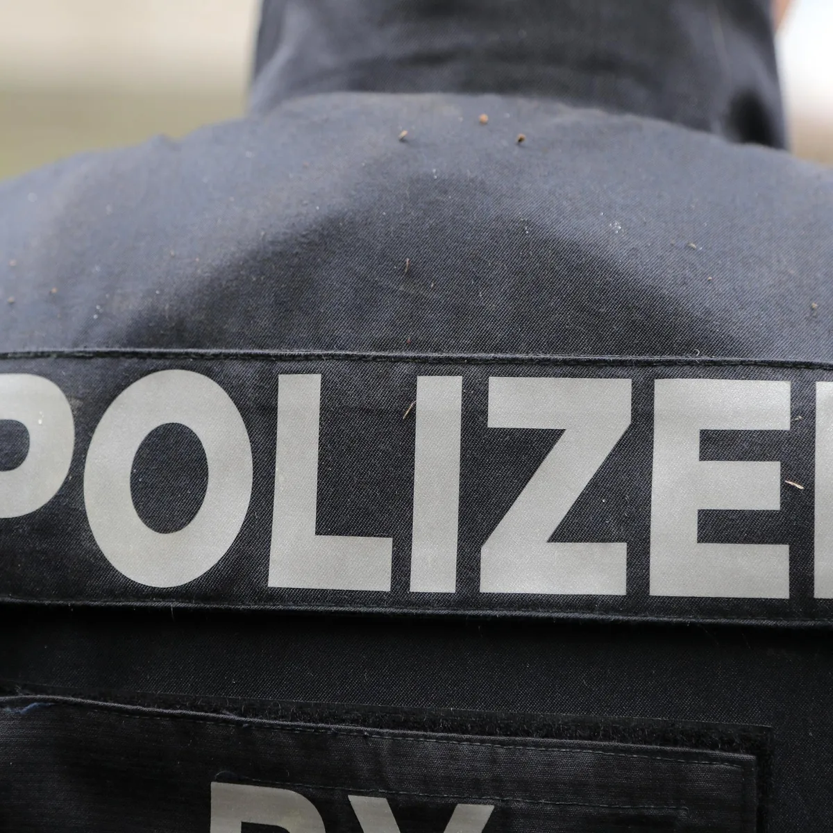 Brandenburg - Nach Serie von Rinderdiebstählen: Zwei mutmaßliche Täter aus Polen festgenommen