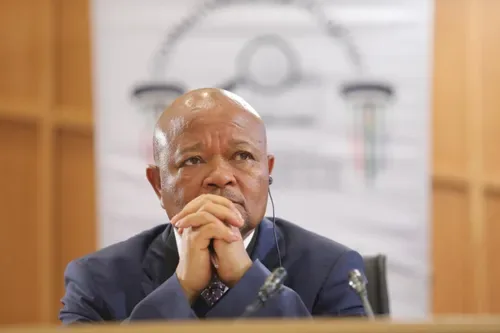 BREAKING: Mchunu accused of trying to sway yet another witness at Madlanga Commission