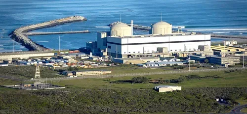 How a sardine buildup triggered a 50 percent power cut at Eskom’s Koeberg