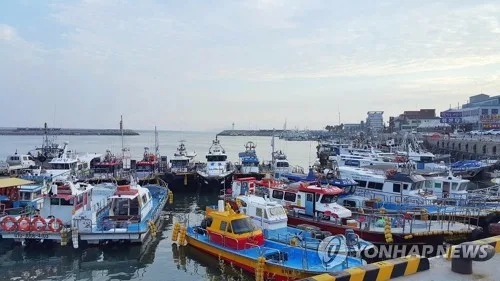 군산 찾는 낚시꾼 연평균 30만명…3년간 사고도 69건