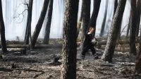 Calor extremo causou 1.243 mortes acima do esperado na França em julho