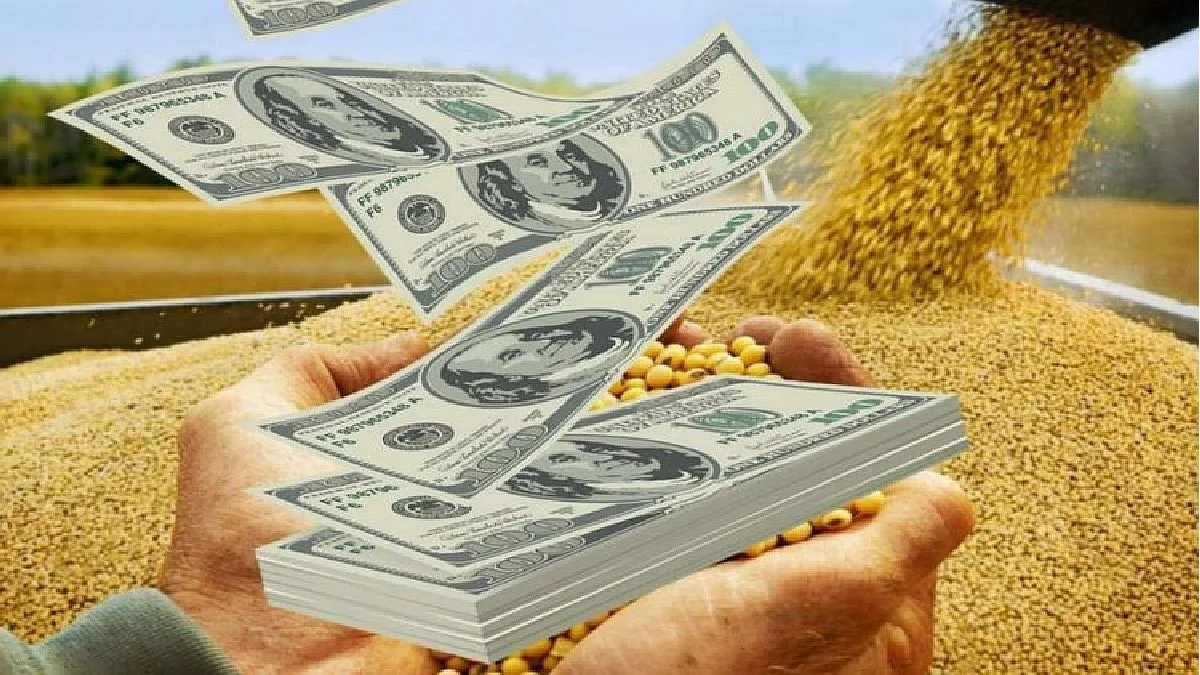 Dólar: por qué el BCRA compra menos a pesar de la buena liquidación del agro