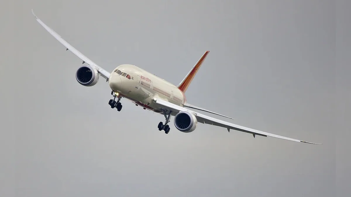 Air India Flight From Delhi Suffers Bird Hit While Landing At Patna Airport