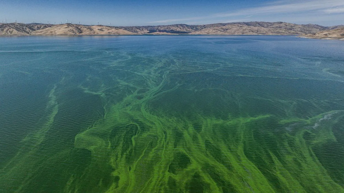 Tons of planet-warming gases are bubbling up from reservoirs. California is going to keep track