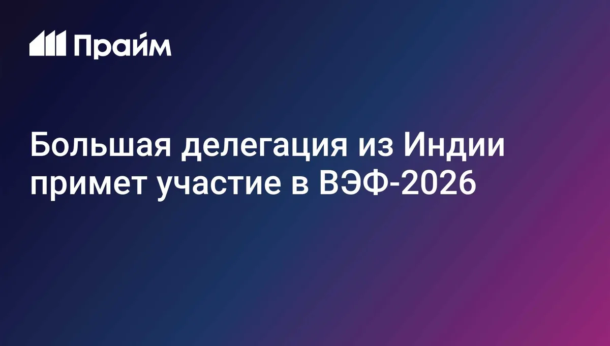Большая делегация из Индии примет участие в ВЭФ-2026