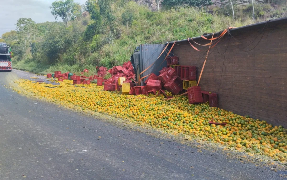 Batida entre caminhões provoca engarrafamento de 20 km em trecho da BR-101 na Bahia