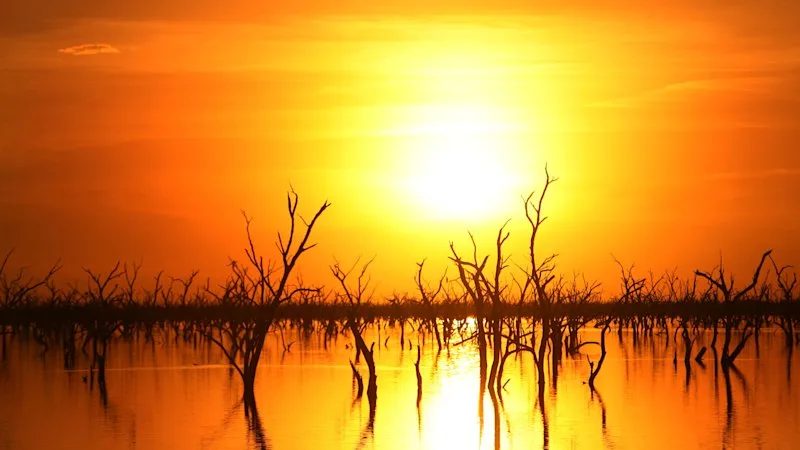 Australia’s workforce is looking at companies at the heart of WA’s economy to act on climate change